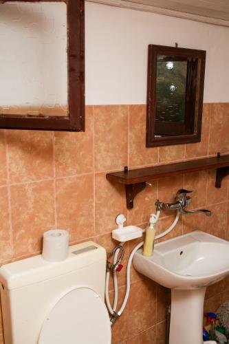 Hostal Ograda Din Vale