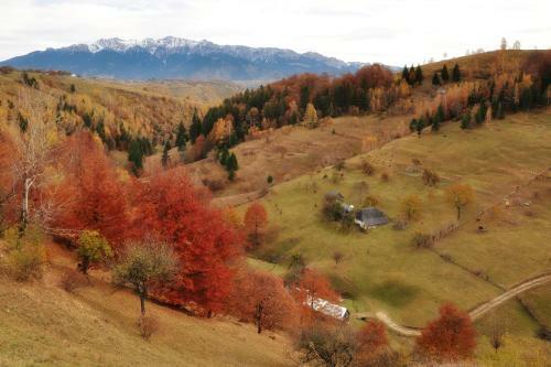 Hostal Samedru