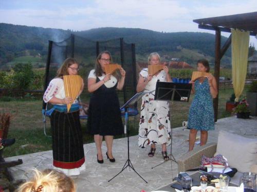 Agroturismo Pensiunea Dorel Codoban