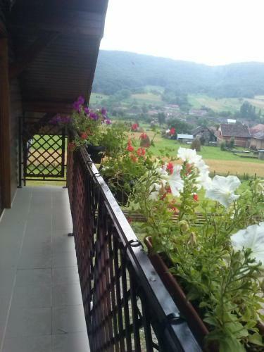 Agroturismo Pensiunea Dorel Codoban