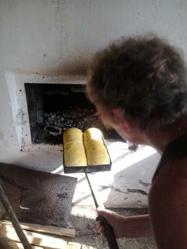 Agroturismo Pensiunea Dorel Codoban