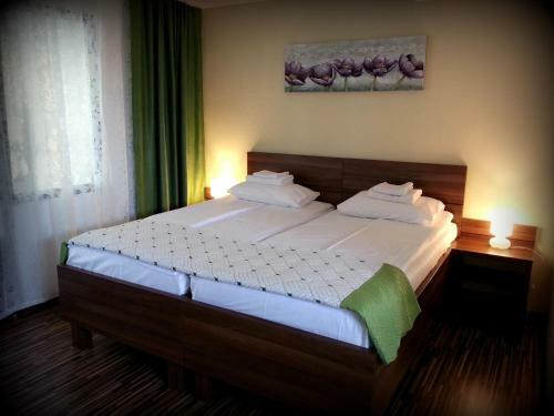 Hostal Cazare La Troita