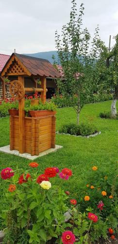 Hostal Cazare La Troita