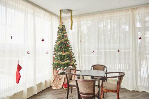 Hostal Vila Amore