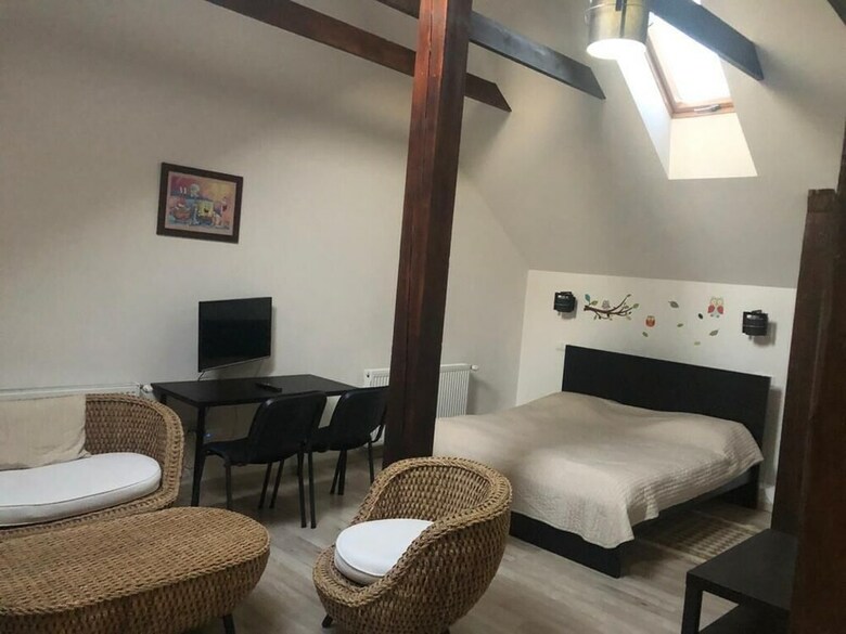 Hostal Pensiunea Carol