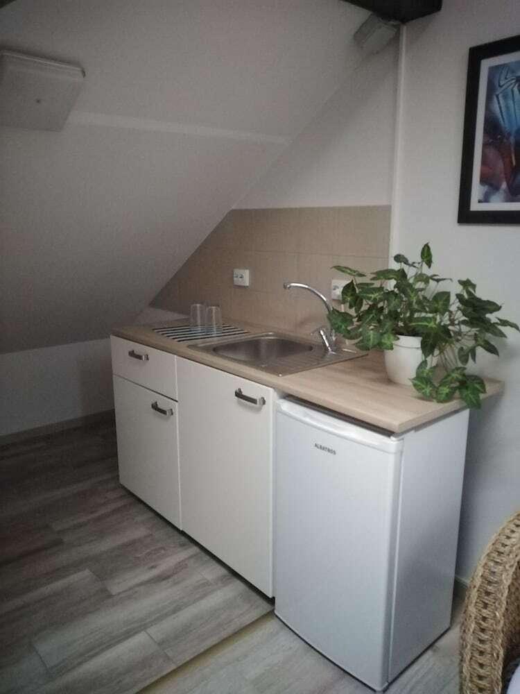 Hostal Pensiunea Carol