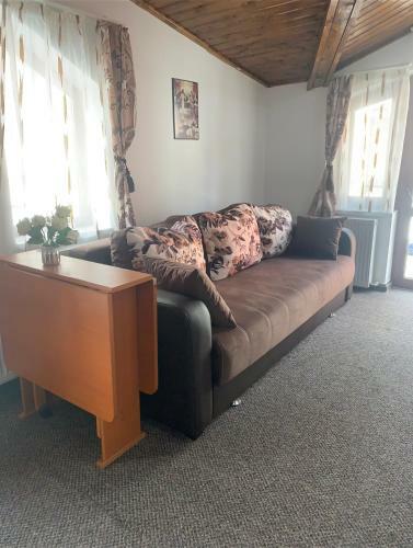 Vila Ammos Apartments Busteni