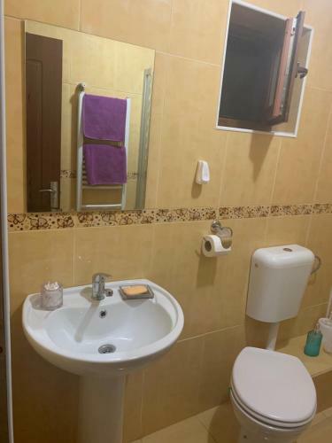 Vila Ammos Apartments Busteni