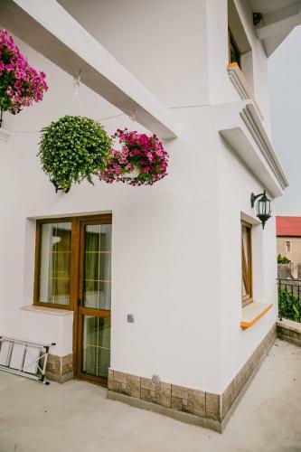 Hostal Pensiunea Vila Europa