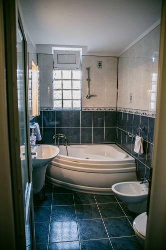 Hostal Pensiunea Vila Europa