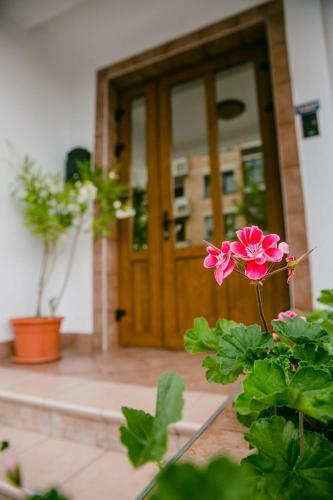 Hostal Pensiunea Vila Europa