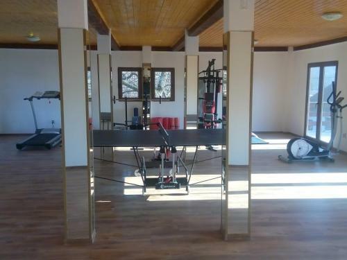Hostal Pensiunea Doina