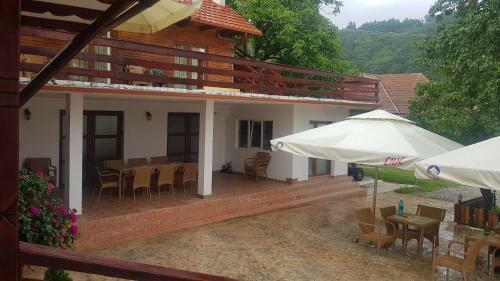 Hostal Pensiunea Doina