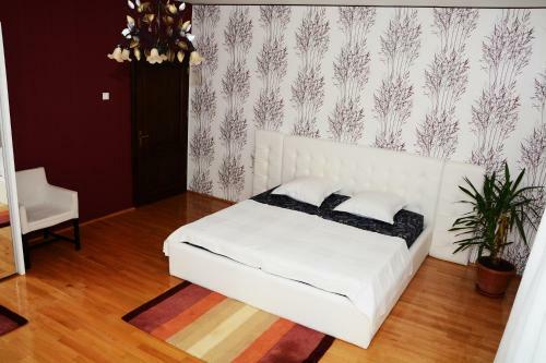 Hostal Casa De Vacanta Divine Novaci