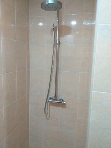 Apartamentos Bolonja 1