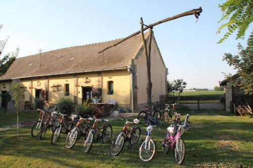 Agroturismo Brkin Sala?