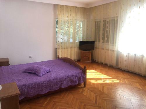 Hotel Vila Andreea