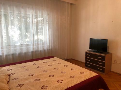 Hotel Vila Andreea