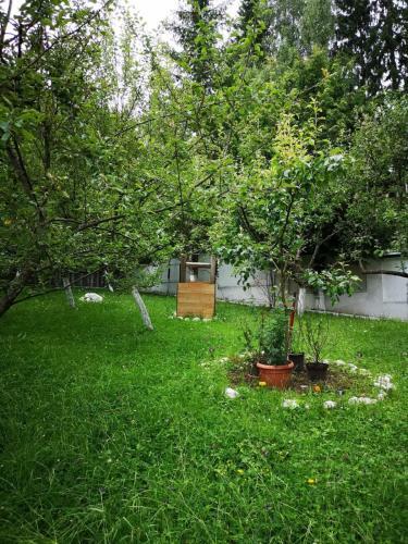 Hotel Vila Andreea