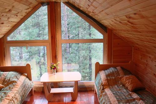 Biya Zapovednaya Holiday Park