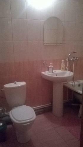 Apartment Fadeeva 425