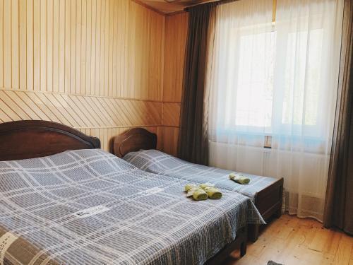 Lodge Volkov House