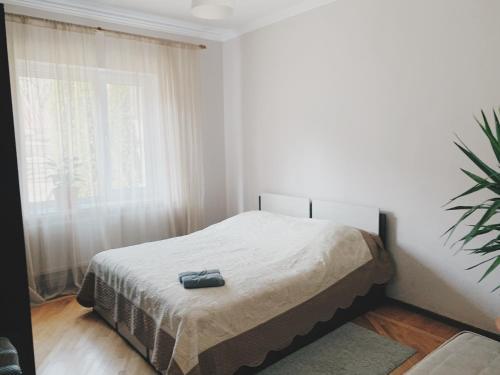 Lodge Volkov House