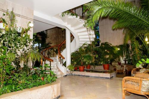 Hotel Bereg