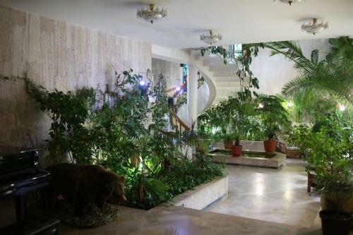 Hotel Bereg