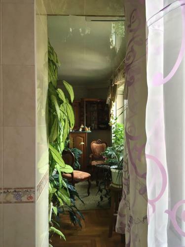 Apartment Nadezhda