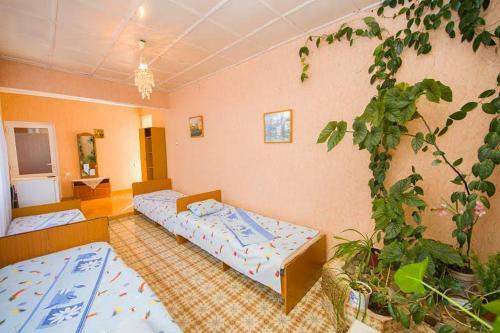 Hostal Guesthouse Novosolov