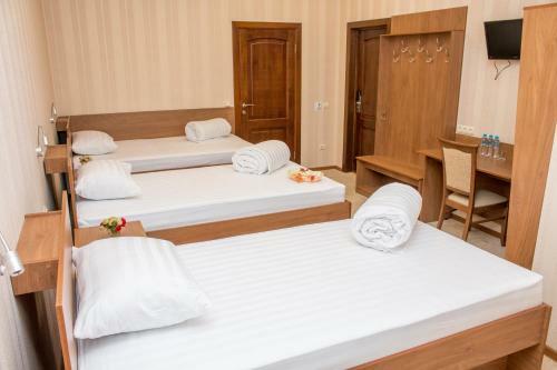 Hotel Vetrov