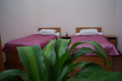 Amran Hotel