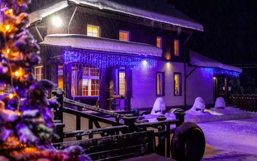 Hostal Leontopodium Teletskoye