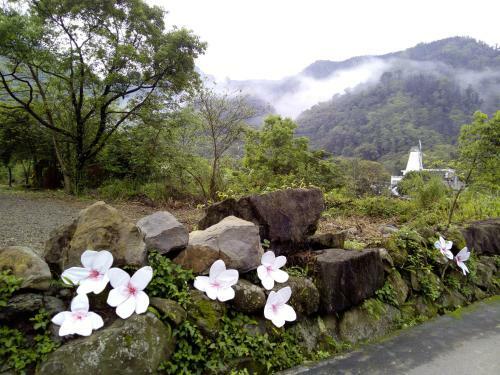 Lily Village