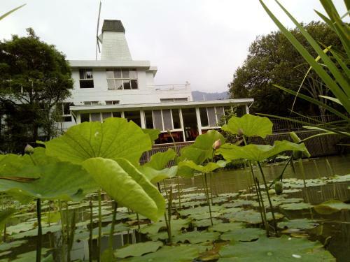 Lily Village