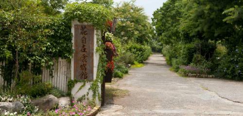 Bed & Breakfast Flower Free