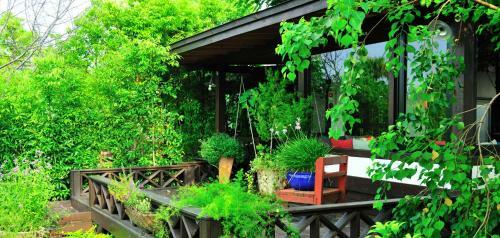 Bed & Breakfast Flower Free