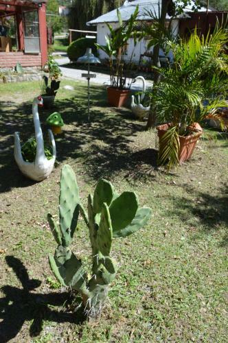 Lodge El Refugio