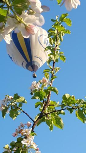 Hotel Panovetskaia Usadba