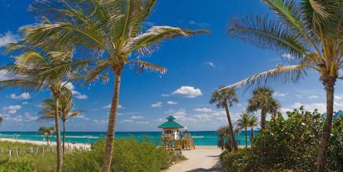 Modern Apartments At Sunny Isles Beach