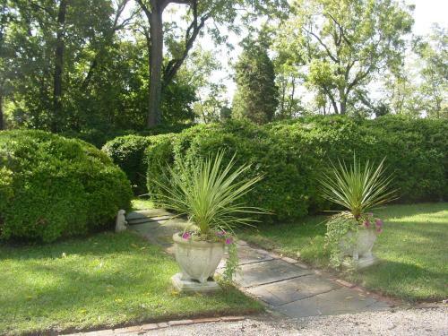 Bed & Breakfast Great Oak Manor