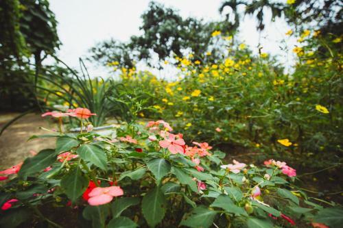 Agroturismo Bavi Homestead