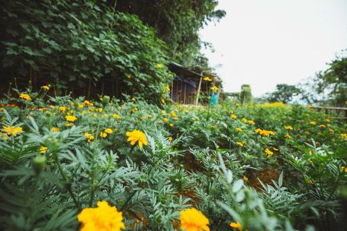 Agroturismo Bavi Homestead