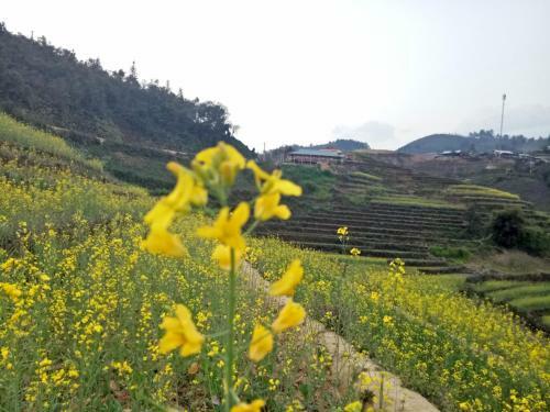 Do Gu Homestay
