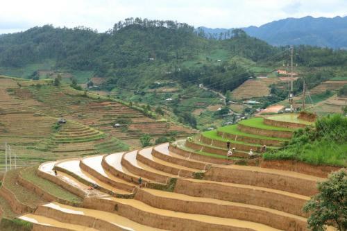 Do Gu Homestay