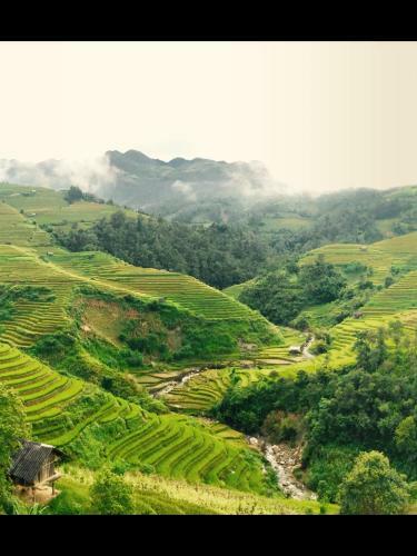 Do Gu Homestay
