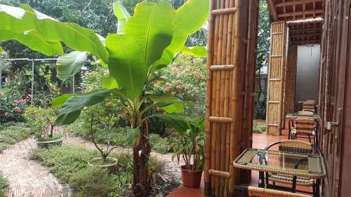 Tam Coc Mountain Lake Homestay