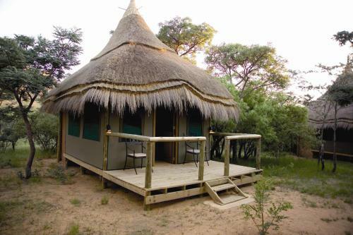 Lodge Entabeni Safari Conservancy