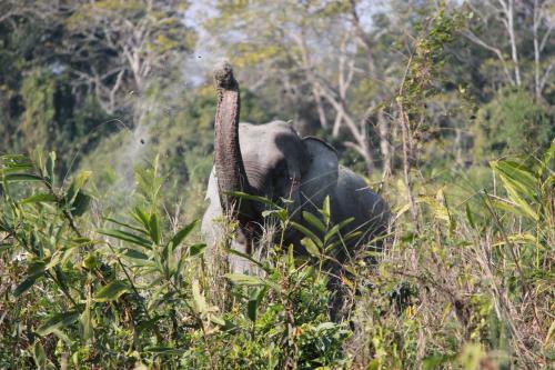 Bed & Breakfast Nature Hunt Eco Camp